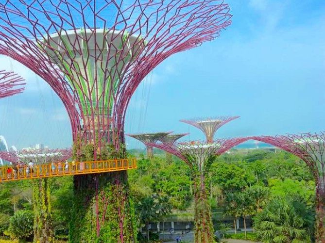 【シンガポール】2大植物園の特徴を比較！ガーデンズバイザベイとボタニックガーデンを観光しよう