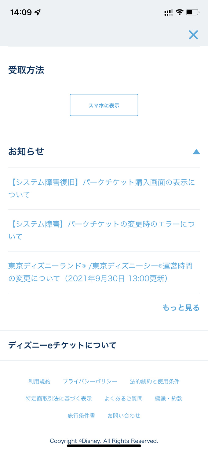 11 12更新 ディズニーチケット予約攻略法 購入できたポイントを徹底解説