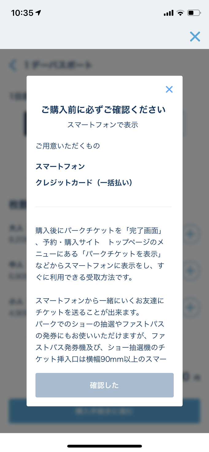 11 5更新 ディズニーチケット予約攻略法 購入できたポイントを徹底解説