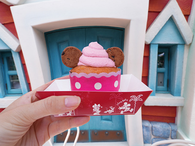 22 ディズニーランドの食べ歩きメニュー19選 人気グルメ おすすめスイーツ