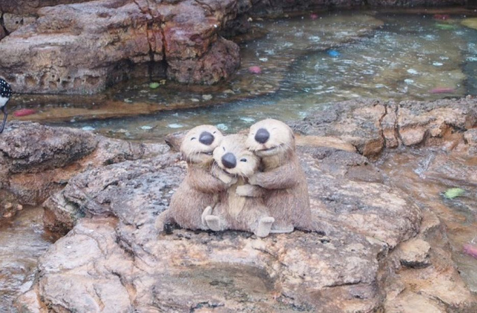 ニモ フレンズ シーライダー 楽しみ方 注意点 ストーリーのパターンは 酔いやすい