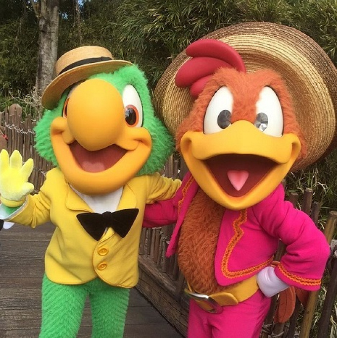 ホセ キャリオカ どんなディズニーキャラクター会える場所 フードも