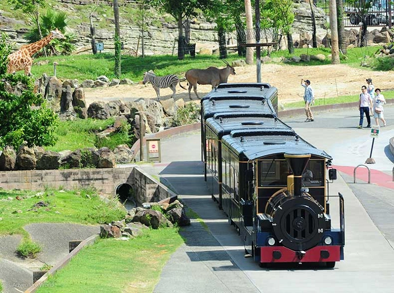 アドベンチャーワールドの周り方ガイド！動物園・水族館・遊園地