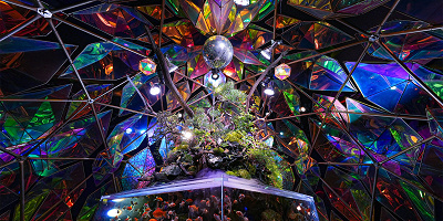 【金魚ミュージアム】奈良県にある金魚をテーマにした水族館!料金、混雑、見どころまとめ