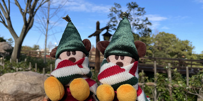 【ディズニークリスマス2022】リルリンリングッズを紹介!いつからいつまで?販売場所や値段、妖精の正体も!