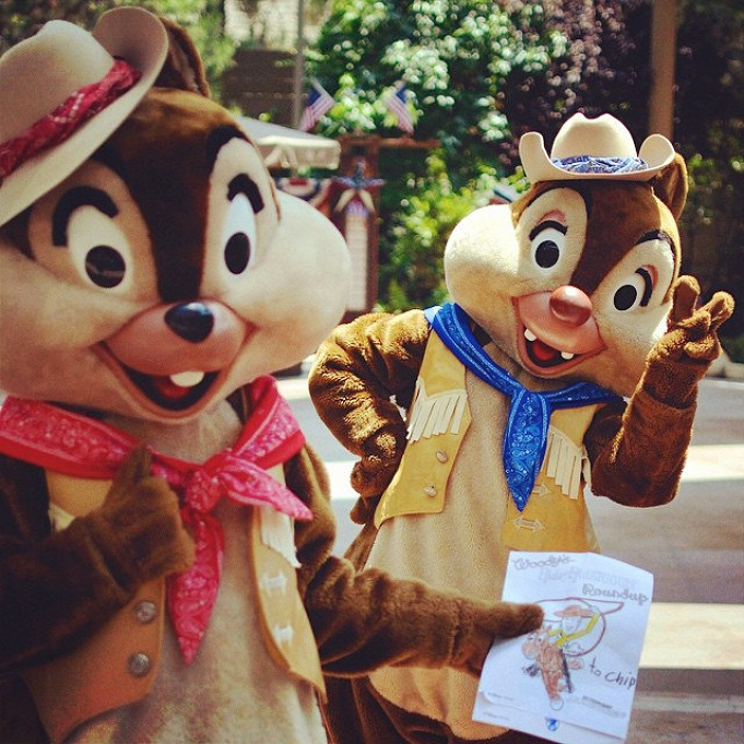 見分けられる チップとデールのプロフィール徹底解説