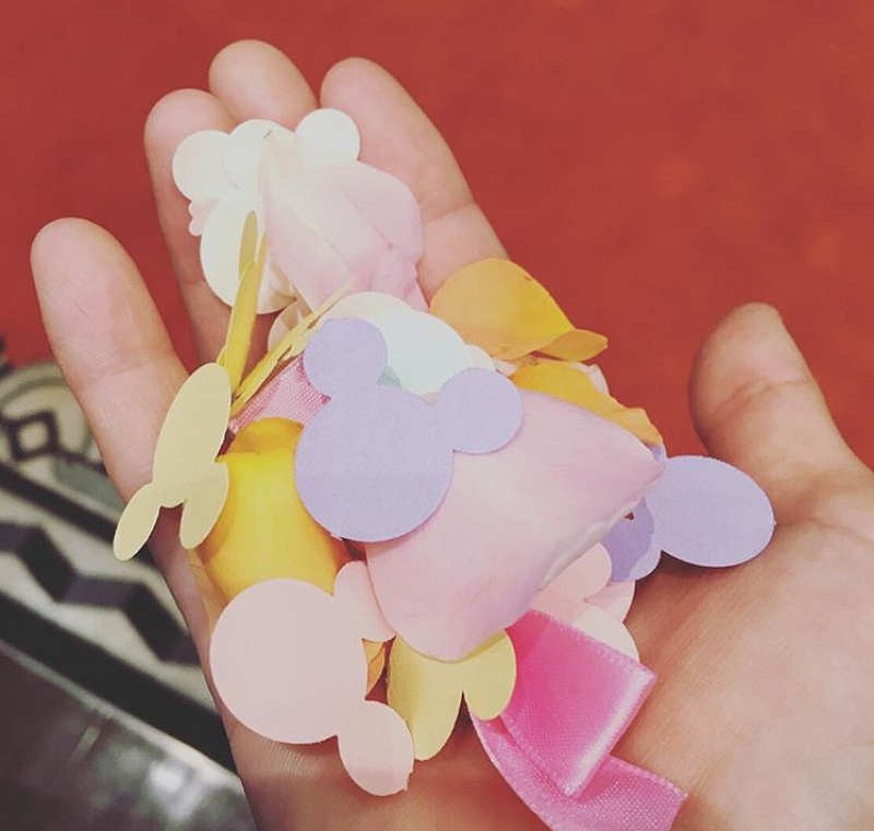 ミッキーのフラワーシャワー キャステル Castel ディズニー情報 ミッキーのフラワーシャワー キャステル Castel ディズニー情報