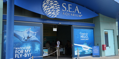 【シンガポール】シーアクアリウム 完全攻略ガイド!アクセス&チケット割引も!