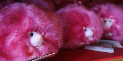 ハリポタに登場する魔法動物「ピグミーパフ」を紹介!魔法界でも大人気♪USJハリポタエリア期間限定イベントについても!