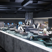 【AOAO SAPPORO】チケット料金はいくら?日時指定チケットの買い方手順や販売場所を解説!