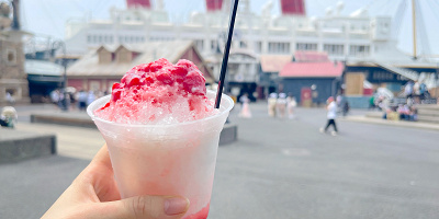 【2025】ディズニーのシェイブアイス(かき氷)全9種類!猛暑の夏にぴったり!ベイマックスかき氷も