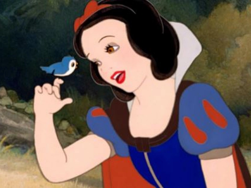 Hcf7wljkzoccnm Hcf7wljkzoccnm