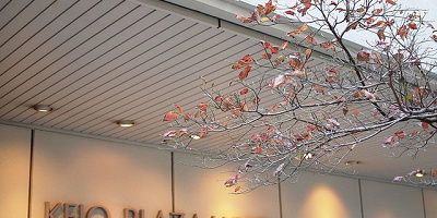 【京王プラザホテル】おすすめのディズニーグッドネイバーホテル!客室&サービスまとめ!比較も!