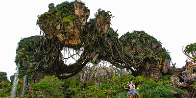 元キャストが教えるWDW「アニマルキングダム」完全攻略プラン