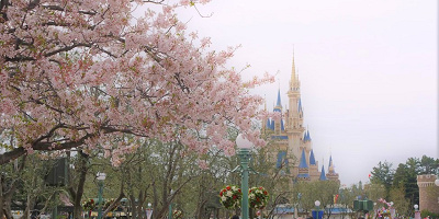 【必見】春秋のディズニー花粉情報&花粉対策グッズまとめ!