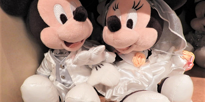 【必見】ディズニーランドでプロポーズ!おすすめプラン&穴場の場所!プレゼントしたいおすすめのグッズも