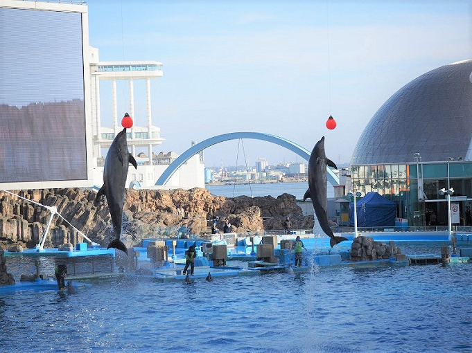 19 名古屋港水族館の割引情報 チケット割引 年間パスポートの特典割引 宿泊セット割引