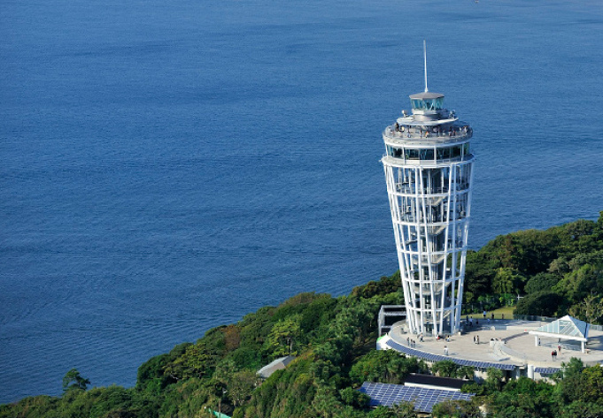 最新 新江ノ島水族館のチケット料金 コンビニ前売券 優待割引お得情報を徹底比較