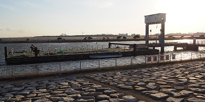 【2023】葛西臨海公園のバーベキュー情報!利用時間・予約方法・メニュー・持ち物・周辺情報まとめ!