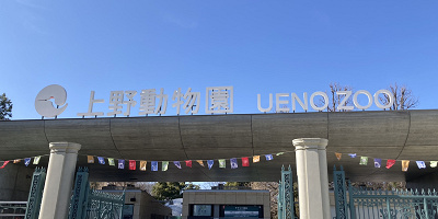 【2025】上野動物園の料金はいくら?1日チケット料金・年間パスポート・無料で入場できる日まとめ!