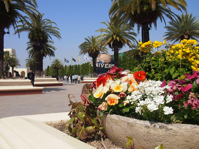 ユニバ チケットは払い戻し可能 できる できない場合や過去の事例 払い戻し方法を徹底解説