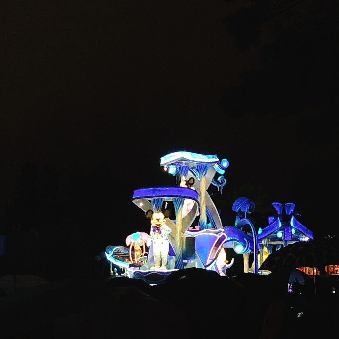 必見 雨のディズニーランドに行ってきた 楽しみ方 持ち物まとめ 限定パレードも開催