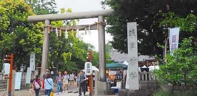 【東京】浅草神社の観光ガイド！見どころスポット、御朱印、お守り、拝観時間まとめ♪