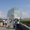【最新】葛西臨海公園内の水族館まるわかりガイド!葛西臨海水族園の入園料やアクセス情報まとめ!