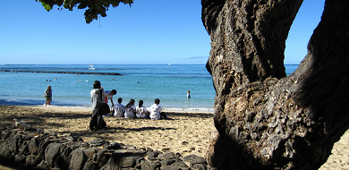 【最新】ハワイ・オアフ島のおすすめビーチ10選！ウミガメやアザラシに遭遇できるビーチも！
