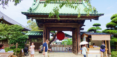 【鎌倉】観光におすすめの寺社8選！あじさいや桜も必見！特徴・見どころ・写真スポットなど
