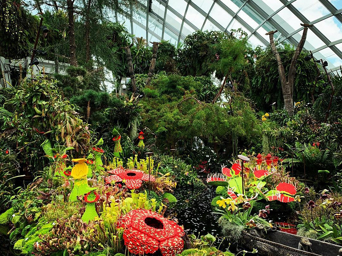 【最新】近未来型植物園ガーデンズ・バイ・ザ・ベイの7つの魅力！シンガポールの人気観光スポットを解説