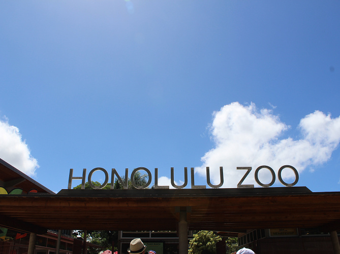 【2020】ハワイ家族旅行の体験記＆費用！家族3人×3泊5日で使ったお金や現地での過ごし方を大公開