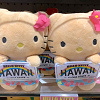 【ハワイ】サンリオのお土産グッズまとめ!ハローキティ、マイメロディ、ぐでたまが日焼けして登場!