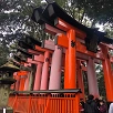 キャステル 【京都】観光名所をエリアごとに紹介！八坂神社、清水寺、平等院、伏見稲荷大社、下鴨神社など