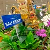 キャステル 【バリ島】直行便があるのは成田空港と関西国際空港だけ！所要時間や発着時刻、航空会社まとめ
