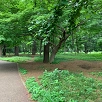 キャステル 【中野】江古田の森公園を徹底解説！駐車場・ランニングコース・遊具・散策路・周辺グルメスポット