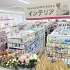 キャステル 【大型店舗】竹下通りのダイソー原宿店が人気のワケ！オススメ商品や特徴を紹介♪