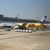 キャステル 羽田空港の深夜バスを解説！路線と時刻表、チケット料金、予約方法、ターミナル間を移動できるバス情報も！