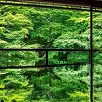キャステル 【京都】人気の絶景スポット8選！SNSで話題の名所や紅葉が映えるお寺、美しいライトアップも♪