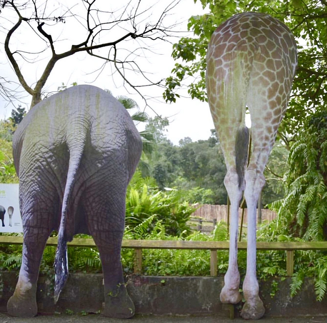 おしりの看板