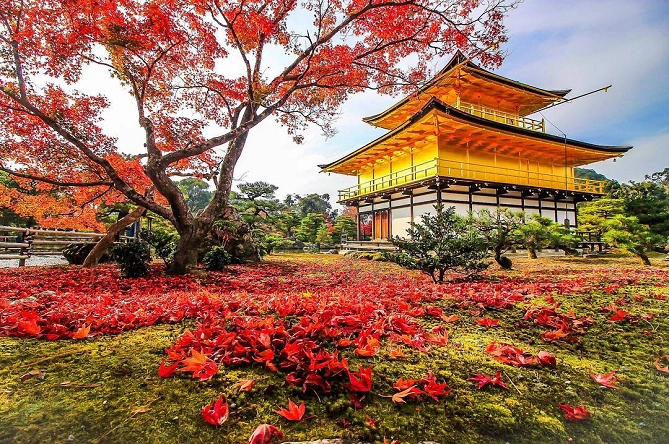 金閣寺