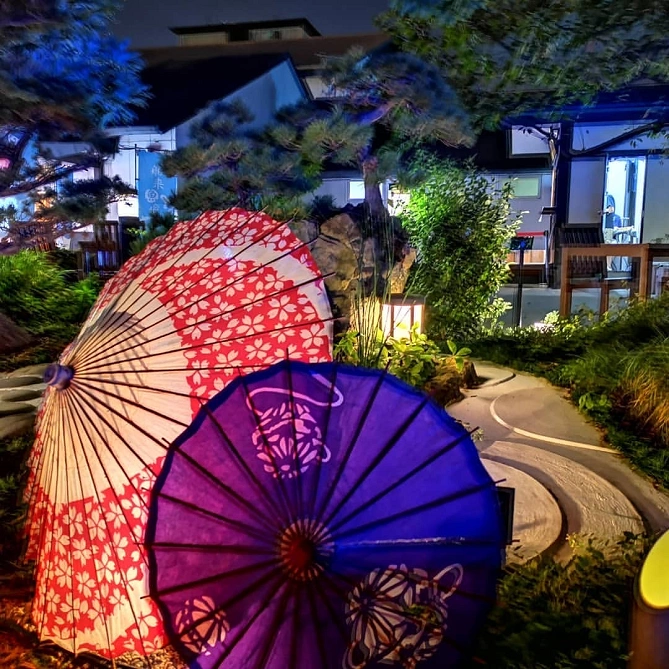 大江戸温泉物語