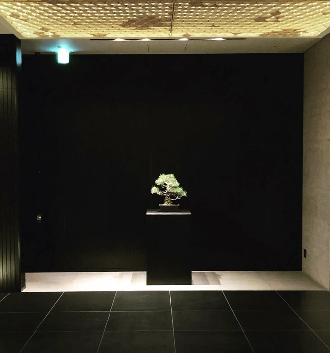 盆栽 