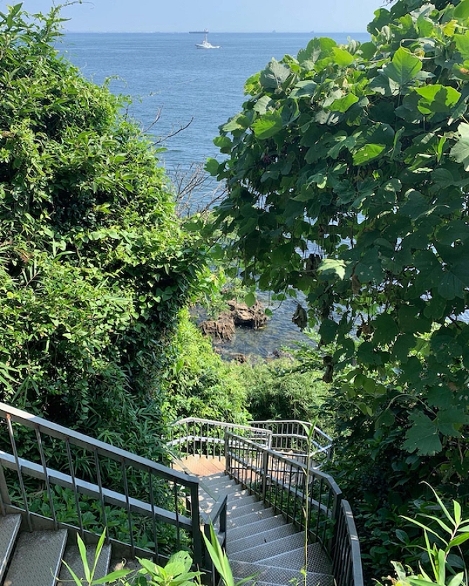 猿島の北側は断崖が続く
