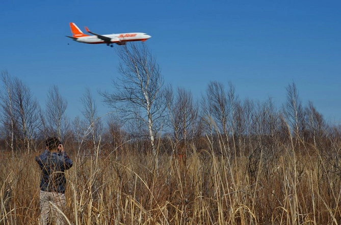 飛行機