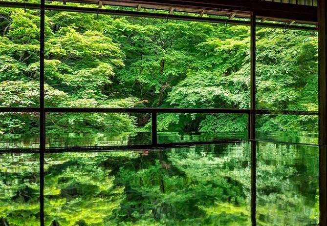 瑠璃光院　夏