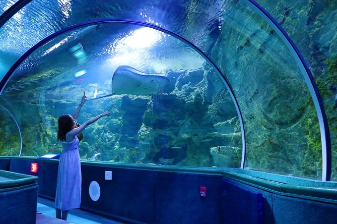 アンダーウォーターワールド：トンネル水槽