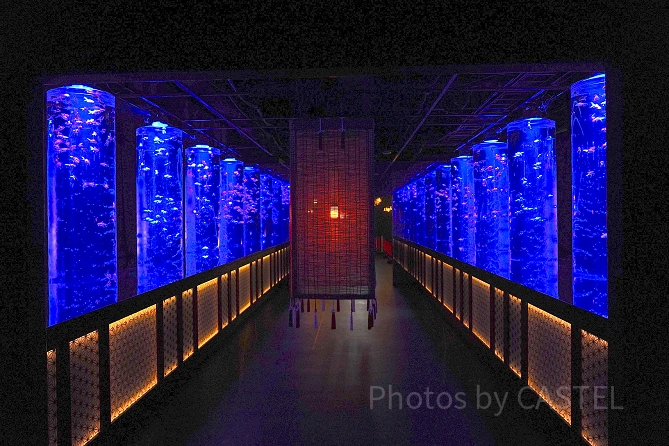 アートアクアリウム美術館 GINZA：概要