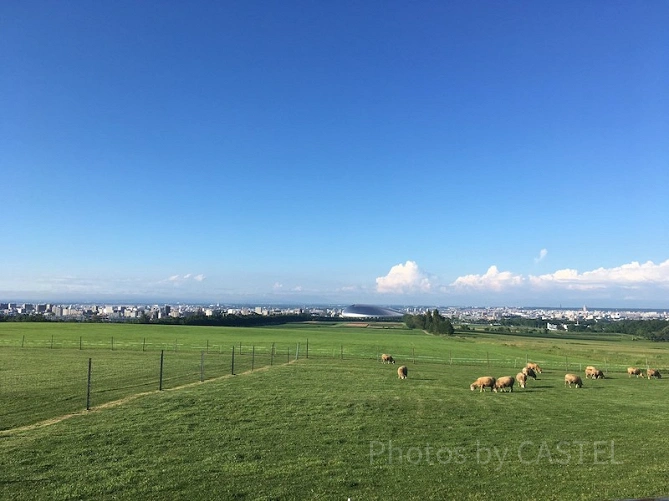 根室中標津空港