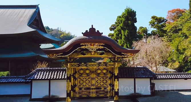 唐門